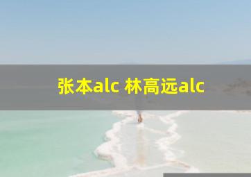 张本alc 林高远alc